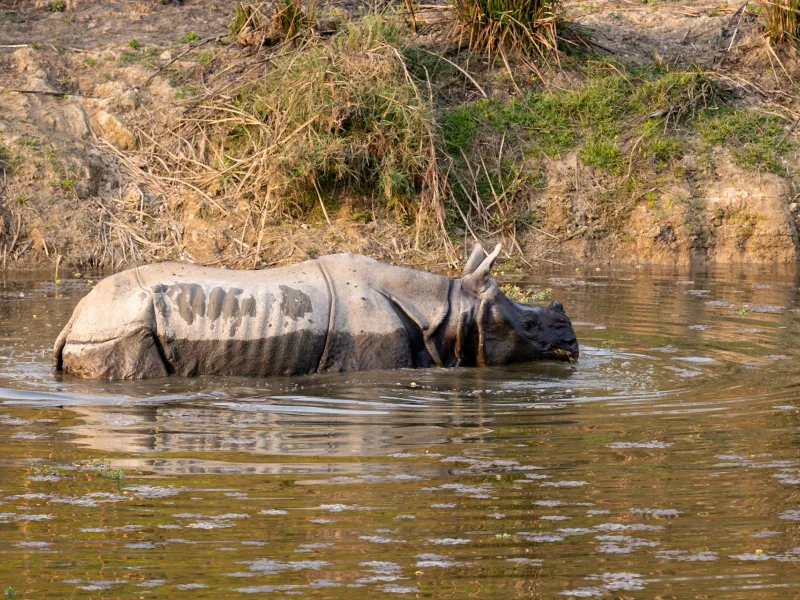 Kathmandu to Chitwan Tour