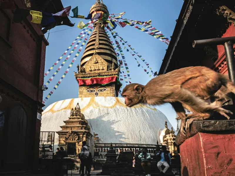 Kathmandu Sightseeing